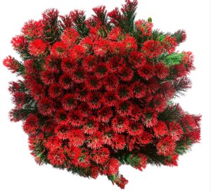 Suni Çim Cod 1731